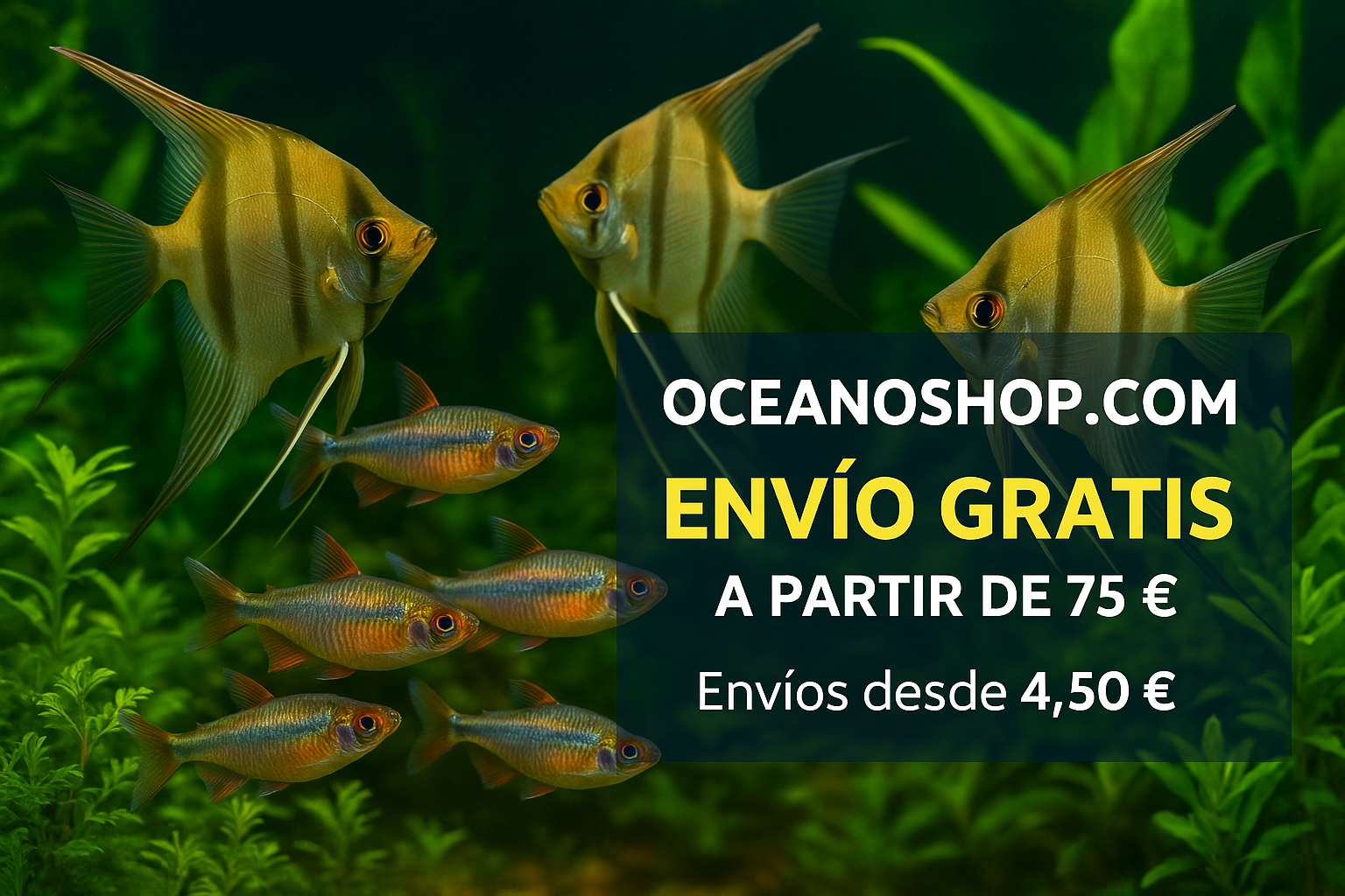 envíos oceanoshop.com 